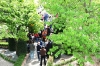 d30_6341