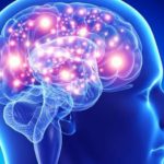 Cervello: scoperti meccanismi modulatori nelle trasmissioni sinaptiche